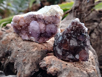 Natural Dark Purple Smokey Amethyst Spirit Quartz Clusters x 35 From South Africa