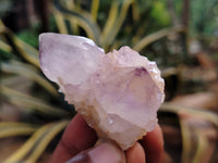 Natural Dark Purple Smokey Amethyst Spirit Quartz Clusters x 35 From South Africa