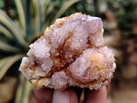 Natural Dark Purple Smokey Amethyst Spirit Quartz Clusters x 35 From South Africa