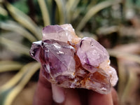 Natural Dark Purple Smokey Amethyst Spirit Quartz Clusters x 35 From South Africa