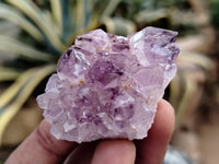 Natural Dark Purple Smokey Amethyst Spirit Quartz Clusters x 35 From South Africa