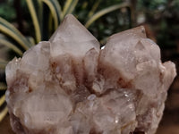 Natural Smokey Phantom Quartz Clusters x 5 From Luena, Congo