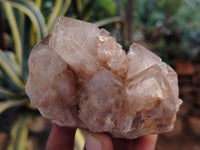 Natural Smokey Phantom Quartz Clusters x 5 From Luena, Congo