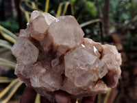 Natural Smokey Phantom Quartz Clusters x 5 From Luena, Congo