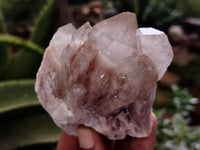 Natural Smokey Phantom Quartz Clusters x 5 From Luena, Congo