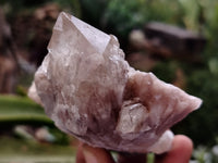 Natural Smokey Phantom Quartz Clusters x 5 From Luena, Congo