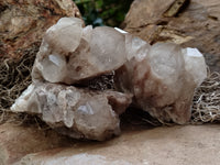 Natural Smokey Phantom Quartz Clusters x 5 From Luena, Congo