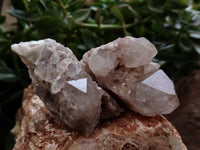 Natural Smokey Phantom Quartz Clusters x 5 From Luena, Congo