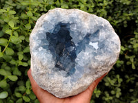 Natural Celestite Geode Specimens x 1 From Sakoany, Madagascar