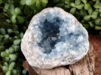 Natural Celestite Geode Specimens x 1 From Sakoany, Madagascar