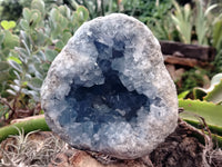 Natural Celestite Geode Specimens x 1 From Sakoany, Madagascar