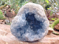 Natural Celestite Geode Specimens x 1 From Sakoany, Madagascar