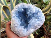 Natural Celestite Geode Specimens x 1 From Sakoany, Madagascar