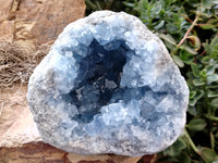 Natural Celestite Geode Specimens x 1 From Sakoany, Madagascar