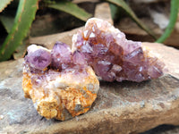 Natural Dark Amethyst Spirit Quartz Clusters x 12 From Boekenhouthoek, South Africa