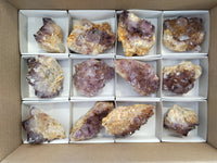 Natural Dark Amethyst Spirit Quartz Clusters x 12 From Boekenhouthoek, South Africa