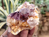 Natural Dark Amethyst Spirit Quartz Clusters x 12 From Boekenhouthoek, South Africa