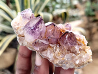 Natural Dark Amethyst Spirit Quartz Clusters x 12 From Boekenhouthoek, South Africa