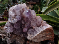 Natural Jacaranda Amethyst Quartz Cluster x 2 From Mumbwa, Zambia