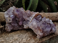 Natural Jacaranda Amethyst Quartz Cluster x 2 From Mumbwa, Zambia