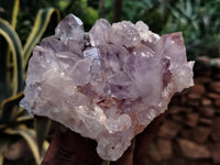 Natural Jacaranda Amethyst Quartz Cluster x 2 From Mumbwa, Zambia