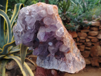 Natural Jacaranda Amethyst Quartz Cluster x 2 From Mumbwa, Zambia