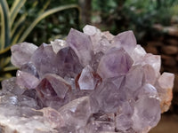 Natural Jacaranda Amethyst Quartz Cluster x 2 From Mumbwa, Zambia