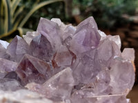 Natural Jacaranda Amethyst Quartz Cluster x 2 From Mumbwa, Zambia