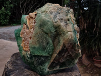 Natural Extra Large Single Green Fluorite Crystal x 1 From South Africa