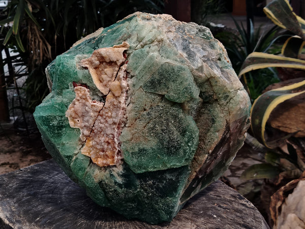 Natural Extra Large Single Green Fluorite Crystal x 1 From South Africa