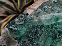 Natural Extra Large Single Green Fluorite Crystal x 1 From South Africa