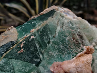 Natural Extra Large Single Green Fluorite Crystal x 1 From South Africa