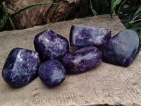 Polished Lepidolite Free Forms x 6 From Madagascar