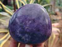 Polished Lepidolite Free Forms x 6 From Madagascar