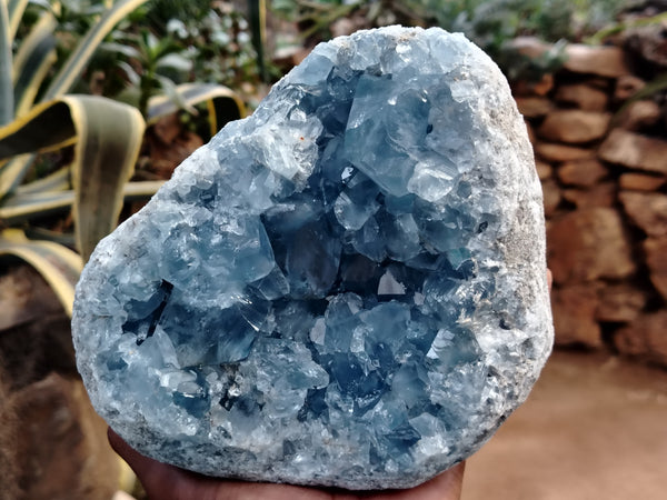 Natural Celestite Geode Specimen x 1 From Sakoany, Madagascar