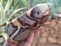 Polished Septerye Points x 3 From Mahajanga, Madagascar