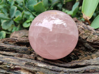 Polished Rose Quartz Spheres x 4 From Ambatondrazaka, Madagascar