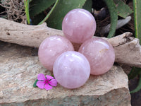 Polished Rose Quartz Spheres x 4 From Ambatondrazaka, Madagascar