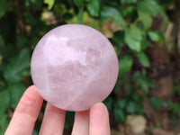 Polished Rose Quartz Spheres x 4 From Ambatondrazaka, Madagascar