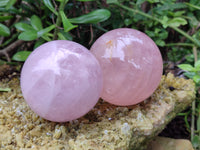 Polished Rose Quartz Spheres x 4 From Ambatondrazaka, Madagascar