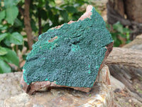 Natural Botryoidal Malachite Specimens x 2 From Tenke Fungurume, Congo