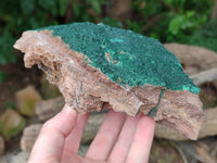 Natural Botryoidal Malachite Specimens x 2 From Tenke Fungurume, Congo