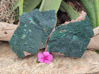 Natural Botryoidal Malachite Specimens x 2 From Tenke Fungurume, Congo