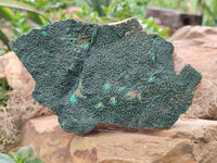 Natural Botryoidal Malachite Specimens x 2 From Tenke Fungurume, Congo