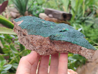 Natural Botryoidal Malachite Specimens x 2 From Tenke Fungurume, Congo