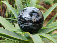 Polished Gabbro Merlinite Sphere's x 4 From Ambatofinandrahana, Madagascar