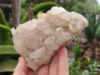 Natural Quartz Clusters x 3 From Madagascar