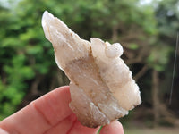 Natural Drusy Quartz Coated Calcite Pseudomorph Specimens x 12 From Alberts Mountain, Lesotho