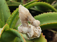 Natural Drusy Quartz Coated Calcite Pseudomorph Specimens x 12 From Alberts Mountain, Lesotho