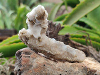 Natural Drusy Quartz Coated Calcite Pseudomorph Specimens x 12 From Alberts Mountain, Lesotho